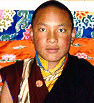 17° Karmapa Urgyen Trinley Dorje
